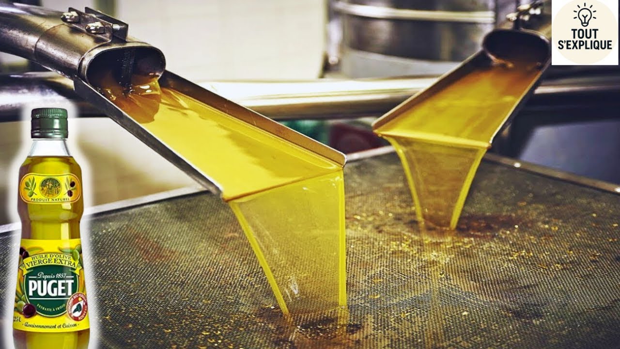 Comment c’est fait : L’huile d’olive — l’or liquide de la gastronomie mondiale