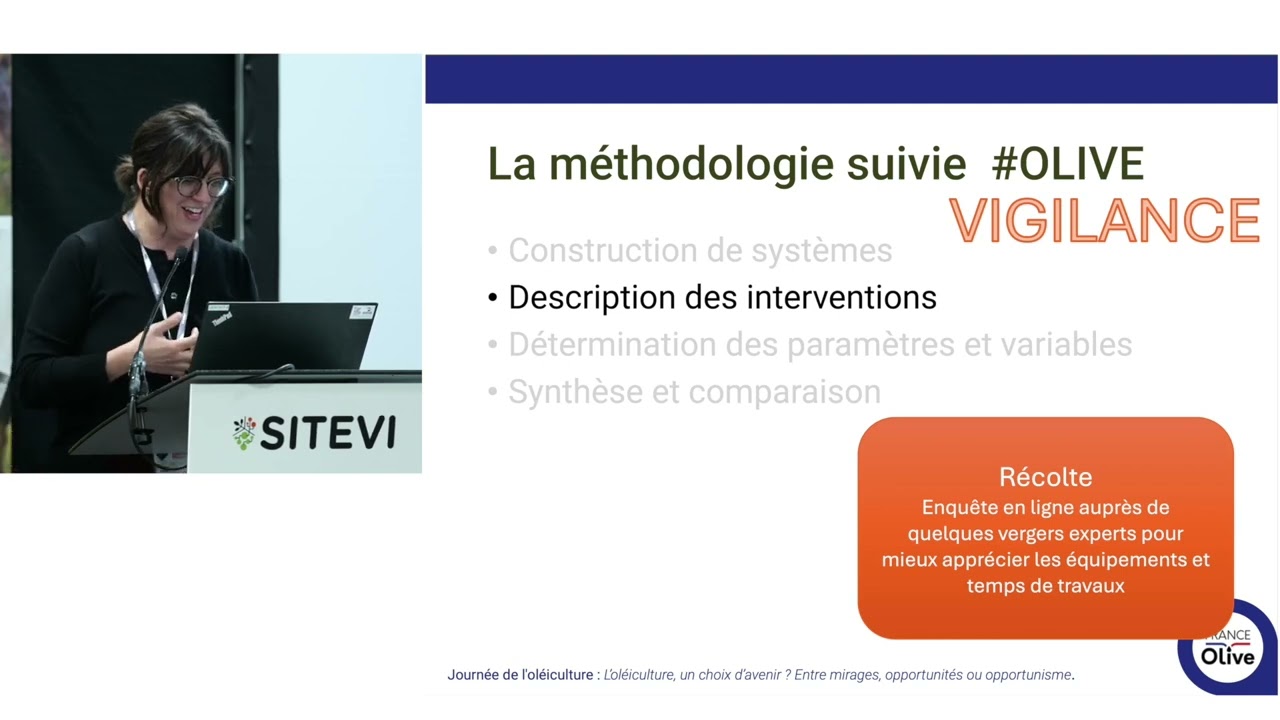 Combien ça coûte de produire de l’huile d’olive en France ?