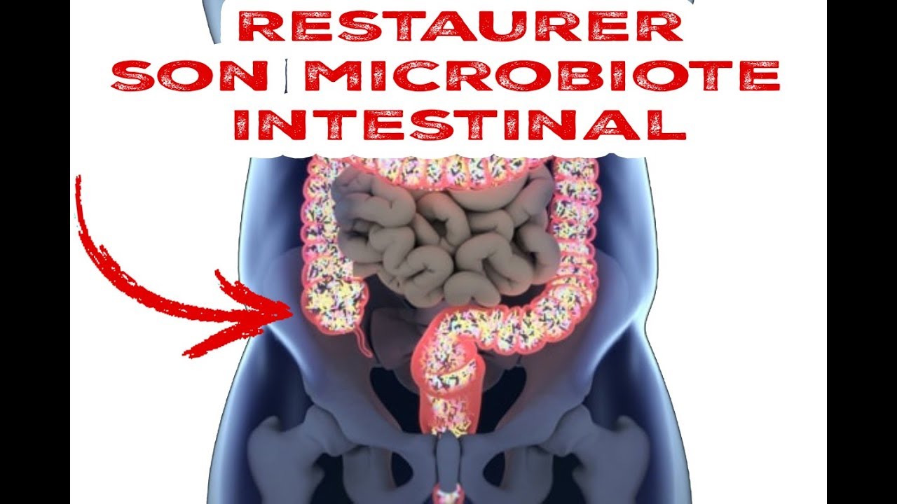 Comment restaurer son MICROBIOTE en 5 étapes
