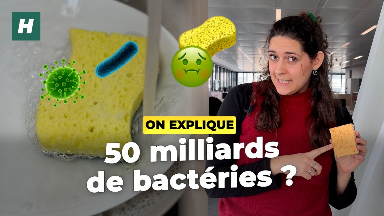 À quelle fréquence faut-il changer son éponge ?