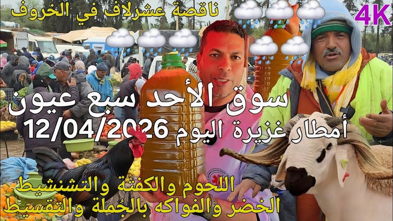 أثمنة الغنم والدجاج واللحوم والخضر سوق الأحد سبع عيون واد اجديدة اليوم 12/04/2026