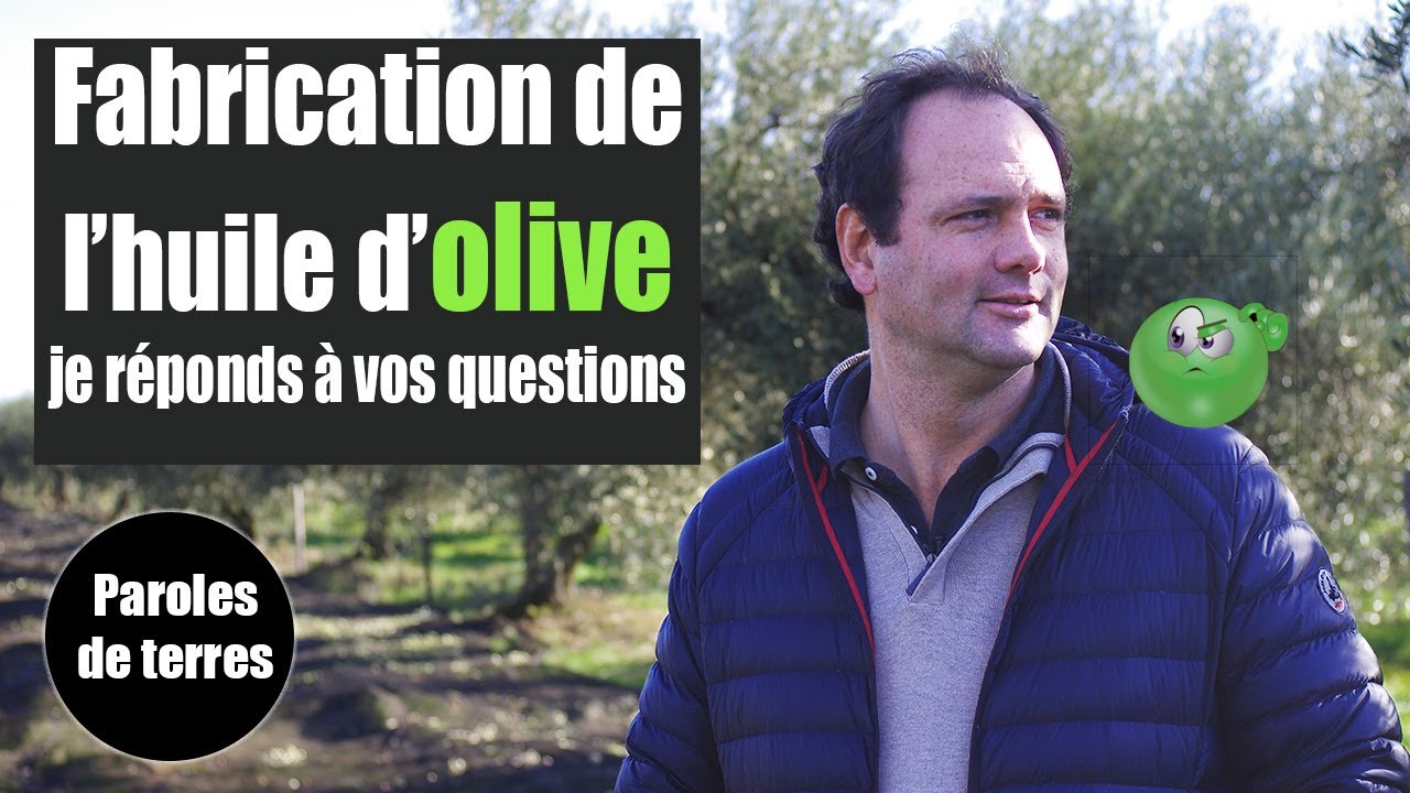 Comment se fabrique l'huile d'olive ?  Paroles de Terres - Saison 3 #21