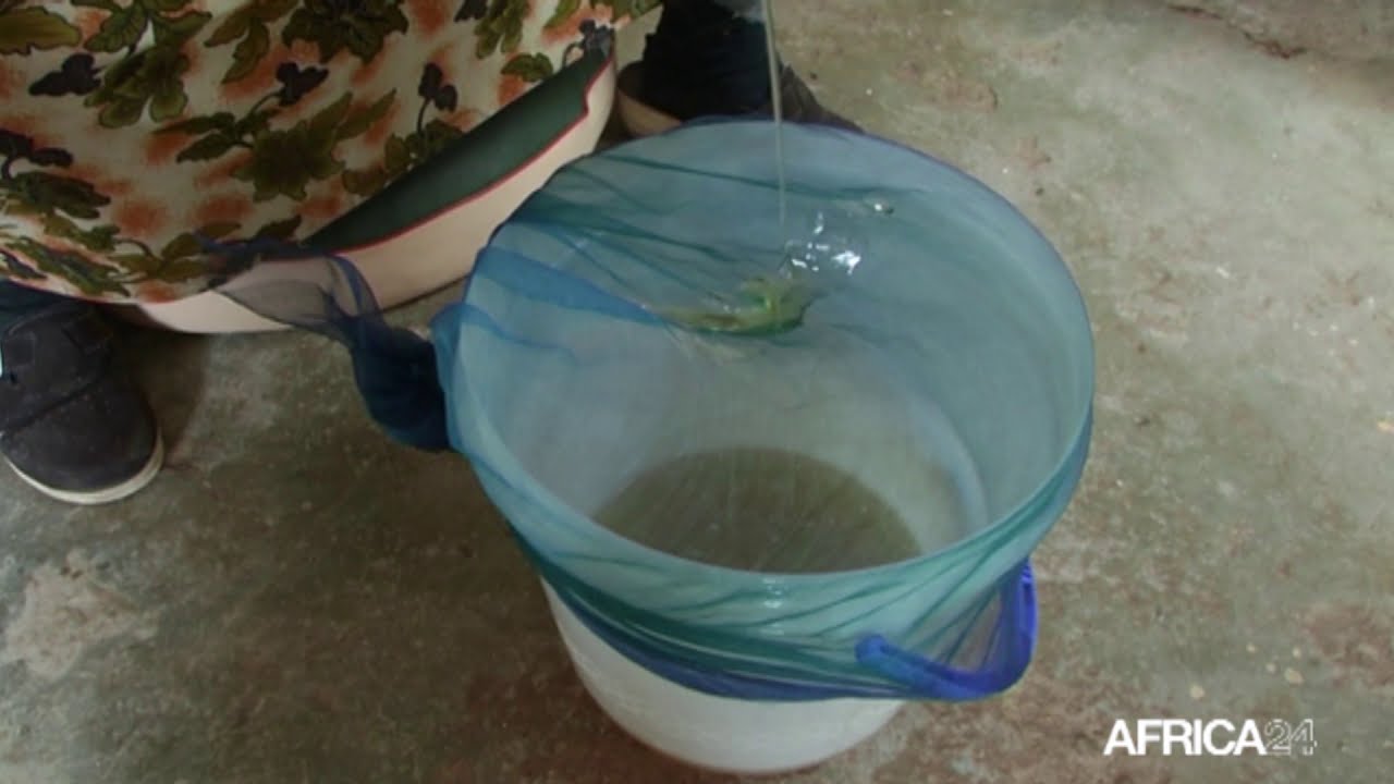 Tunisie, VERS L’EXPORTATION DE 70 000 TONNES D’HUILE D’OLIVE CONDITIONNÉE D’ICI 2025