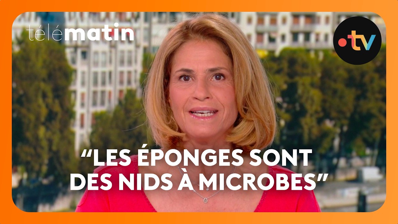 Que cachent les éponges de cuisine ?