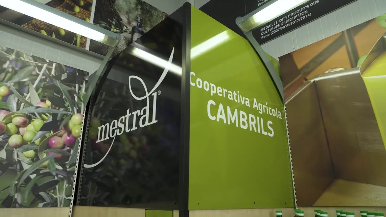 Coopérative de Cambrils : huile d'olive vierge extra de la Catalogne importée par Olibec