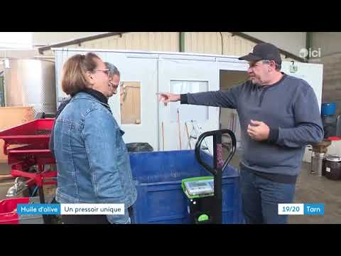 "Elle va exceller !" : de l'olivier à la bouteille, immersion dans la fabrication d'huile d'olive