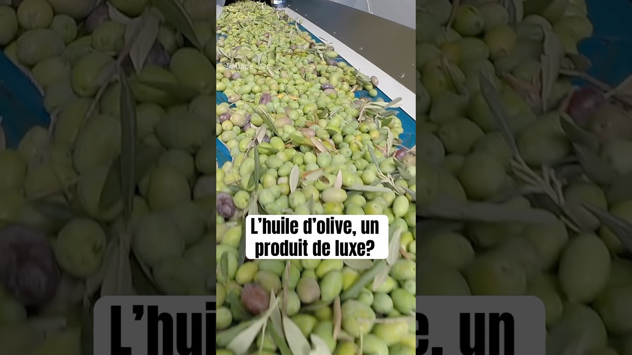 L’huile d’olive, un produit de luxe? #actualités