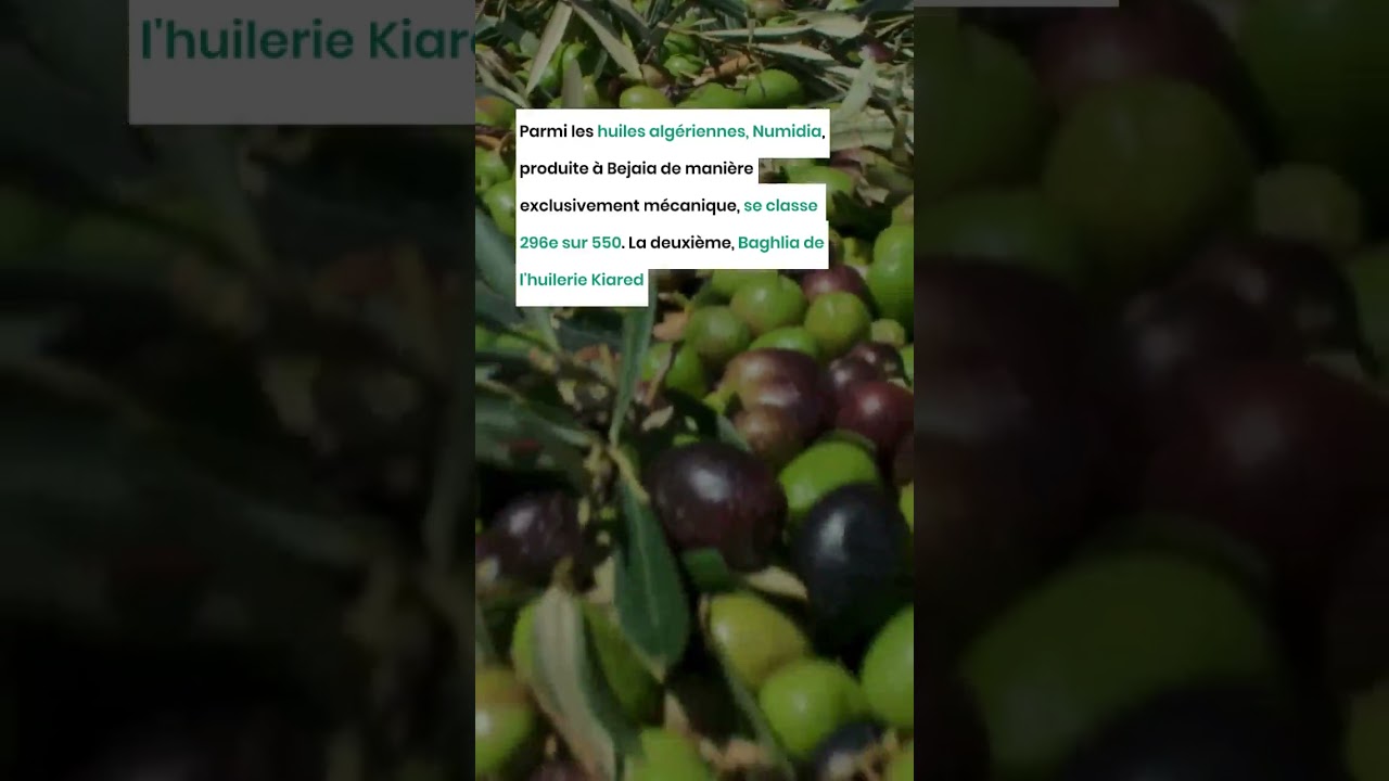 3 marques algériennes parmi les meilleures huiles d'olive au monde