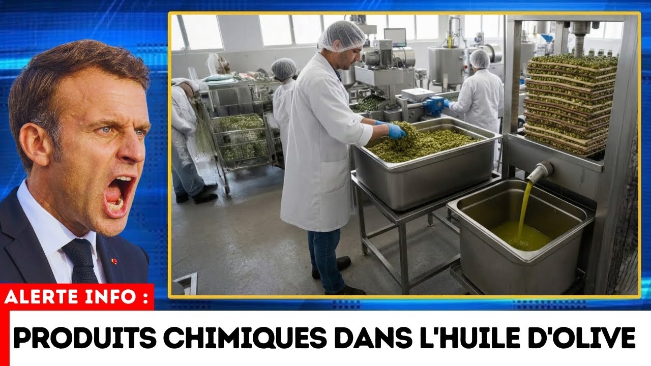 8 Huile d'Olive "Extra Vierge" qui sont FAUSSES (2 à acheter)