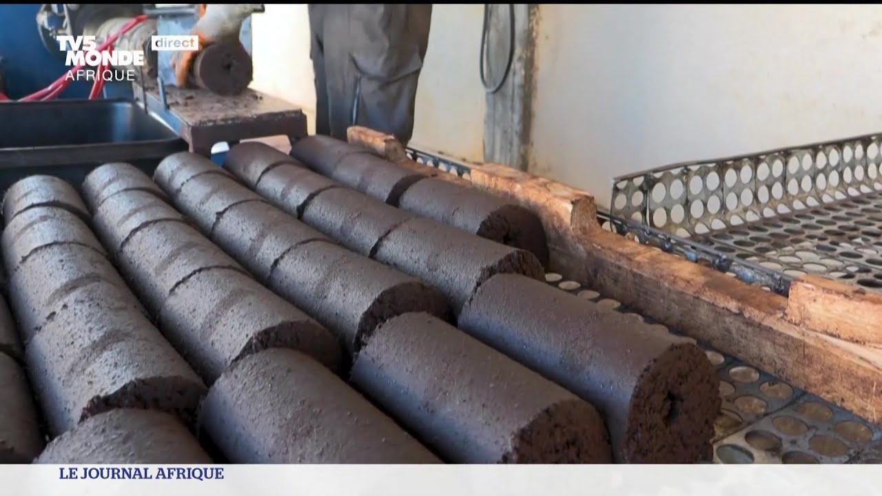 Tunisie : valoriser les déchets d'olives