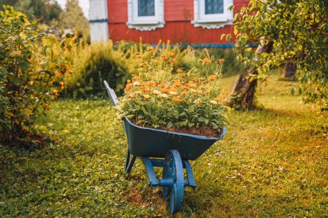 Depuis toujours, j&rsquo;épluchais mes légumes à l&rsquo;économe, jusqu&rsquo;au jour où une Suédoise m&rsquo;a révélé une astuce révolutionnaire