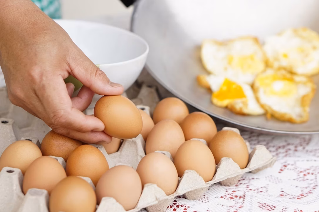Combien de Calories dans un Œuf ?