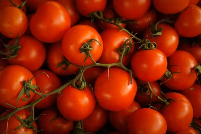 Pourquoi vos tomates détestent le réfrigérateur : les explications d’un chef